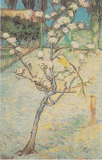 Vincent Van Gogh Flowering Pear-Tree china oil painting image